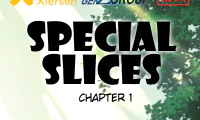 Special Slices - 1