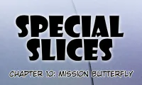 Special Slices - 11
