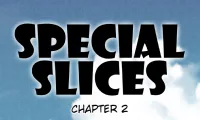 Special Slices - 3
