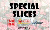 Special Slices - 4