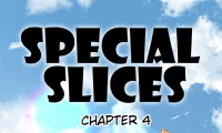 Special Slices - 5
