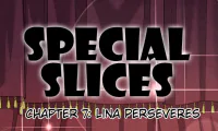 Special Slices - 8